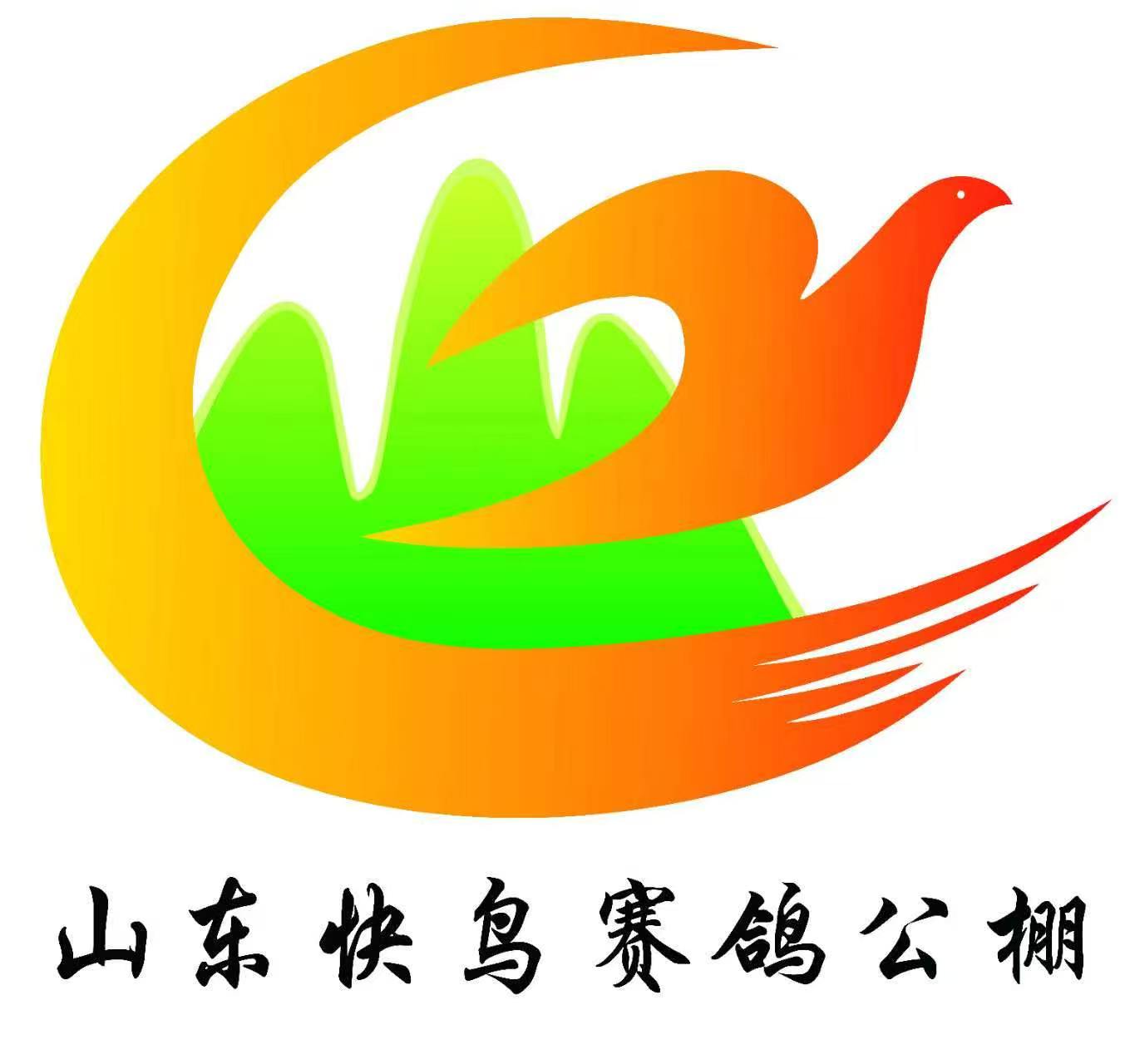 山东快鸟赛鸽公棚